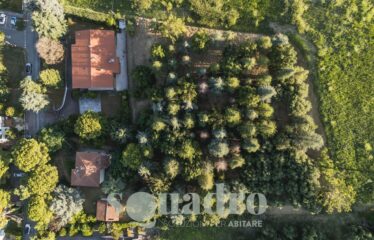 Villa in Vendita a Castrocaro Terme e Terra del Sole