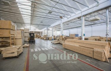 Capannone in Affitto a Forlì