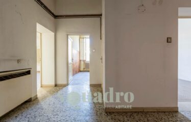 in Vendita a Forlì