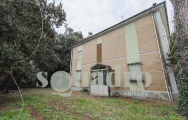 in Vendita a Forlì