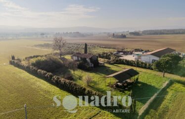 Rustico in Vendita a Forlì