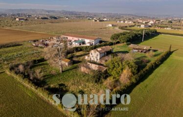Rustico in Vendita a Forlì
