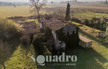 Rustico in Vendita a Forlì