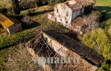 Rustico in Vendita a Forlì