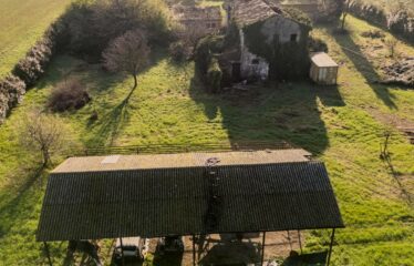 Rustico in Vendita a Forlì